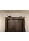 Eğlenceli Kedi ve Fare Duvar Dekorasyonu