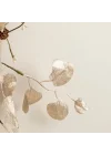 Elod Yılbaşı Dekoru Natural