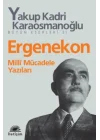 Ergenekon  Milli Mücadele Yazıları