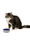 Ethical 5 İnç Kedi veya Sürüngen Seramik Tabak