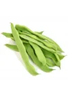 FASULYE ROMANO OTURAK (ÇOKLU TOHUM) - 25 Gram