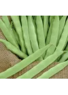 FASULYE ROMANO OTURAK (ÇOKLU TOHUM) - 25 Gram