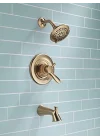 Faucet Lahara 17 serisi çift fonksiyonlu küvet ve duş donanım seti, 5 kademeli touch-clean duş başlığı ile birlikte, paslanmaz çelik T17438-SS (vana dahil değildir)