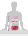 FHN Kitten 4 kg
