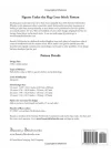 Figures Under the Flag Cross Stitch Pattern - Maurice Prendergast: Regular and Large Print Cross Stitch Chart