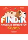 Fındık Kimselere Benzemeyen Köpek