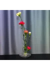 Flora Design-Balance Series Şeffaf Cam Vazo