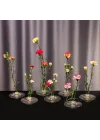 Flora Design-Balance Series Şeffaf Cam Vazo