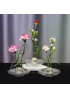Flora Design-Balance Series Şeffaf Cam Vazo