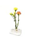 Flora Design-Balance Series Şeffaf Cam Vazo