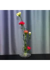 Flora Design-Balance Series Şeffaf Cam Vazo