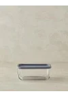 Fresh Safe Cam Saklama Kabı 270 ml Gri