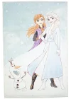 Frozen 2 Winter Lisanslı Karakter Baskılı Polyester Halı, Çok Renkli, 80 x 120 cm