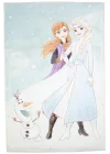Frozen 2 Winter Lisanslı Karakter Baskılı Polyester Halı, Çok Renkli, 80 x 120 cm
