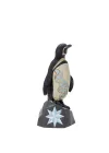 Galapagos Penguen