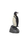 Galapagos Penguen