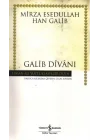 Galib Divanı - Hasan Ali Yücel Klasikleri