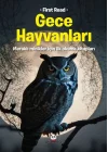 Gece Hayvanları