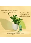 Genel Kullanım Sıvı Bitki Besini Gübre 500ml