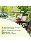 Genel Kullanım Torfu Saksı Toprağı 10 Lt
