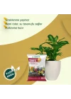 Genel Kullanım Torfu Saksı Toprağı 10 Lt