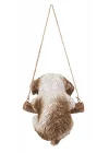 Gift Ltd. Asma Shih Tzu Yavru Köpek
