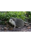 Gift Ltd Crawling Hedgehog Statue