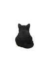 Gift Ltd Geschenk Statue, schlafende Katze, schwarz/weiß