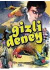 Gizli Denney