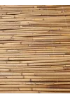 Greenosier 1mX2m hasır kamış çit