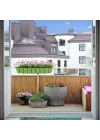 Greenosier 1mX2m hasır kamış çit