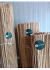 Greenosier 1mX3m hasır kamış çit