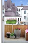 Greenosier 70cmX5m hasır kamış çit