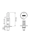 H1 Eco 12v 55W ile uyumlu - 1987302801