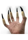 HALLOWEEN CADI TIRNAĞI LÜKS 10LU ZD5110