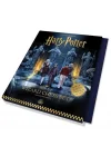 Harry Potter: The Pop-Up Wizard Chess Set