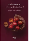 Harvard Meydanı