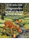 Hayvanlar Nerede Yaşar Biliyor Musun?