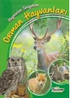 Hayvanları Tanıyorum Orman Hayvanları
