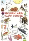 Hayvanların Yaşam Döngüsü