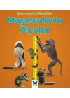 Hayvanlarla Etkinlikler - Maymunlarla Ölçelim