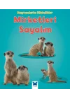 Hayvanlarla Etkinlikler - Mirketleri Sayalım