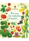 Her Şey Bir Tohumla Başlar