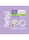 Herbal Kişisel Bakım Havlusu 100 Yaprak