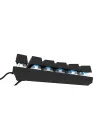 HK410 Mekanik Switch 19 Mod RGB Kablolu Siyah TKL Türkçe Gaming Klavye (Mavi Switch)