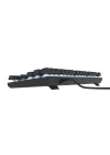 HK410 Mekanik Switch 19 Mod RGB Kablolu Siyah TKL Türkçe Gaming Klavye (Mavi Switch)