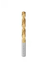 Hss Matkap Ucu Titanyum Kaplı 5,0 Mm