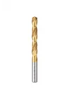 Hss Matkap Ucu Titanyum Kaplı 5,0 Mm