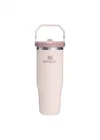IceFlow Flip Straw Tumbler Pipetli Termos Bardak, 0.89 L