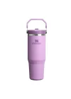 IceFlow Flip Straw Tumbler Pipetli Termos Bardak, 0.89 L